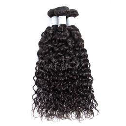 Indian Raw Virgin Human Hair Extensions Water Wave Dubbele Inslagen 8-28 inch 3 Bundels Haar Inslagen 95-105 g/stuk Natuurlijke Kleur