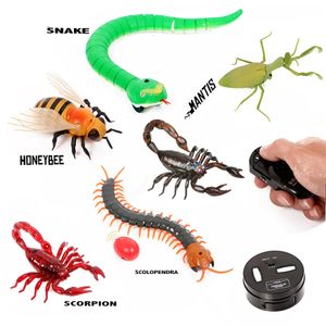 Infrarouge télécarrestre Contrôle des insectes animaux Simulation Snake Beelectronic Robot jouet pour chat chien Halloween Prank Funny Toys 240408