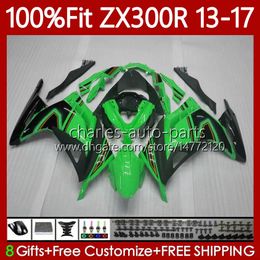 Kit de carrocería de inyección para KAWASAKI NINJA ZX300R EX ZX 3R 3 R 300R EX-300 2013 2014 2015 16 17 125No.181 EX300R ZX-3R ZX-300R ZX3R ZX300 13 14 15 2016 2017 Carenado Verde negro