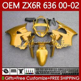 Cuerpos de inyección para KAWASAKI NINJA ZX-636 ZX 6R 600 CC 6 R ZX636 ZX-600 00-02 Carrocería 133No.28 ZX 636 600CC ZX-6R ZX6R 00 01 02 ZX600 2000 2001 2002 Carenado OEM