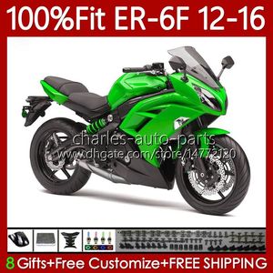 Corps de moulage par injection pour KAWASAKI NINJA 650R 650 R ER6 F ER 6F Vert brillant 2012-2016 Carrosserie 136No.38 ER-6F ER6F 12 13 14 15 16 650-R 2012 2013 2014 2015 2016 Kit de carénage OEM