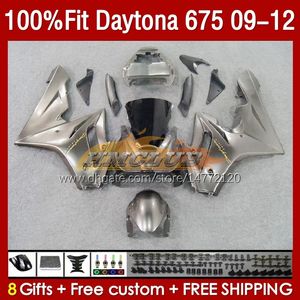 Spuitvormige schimmelbeurten voor Daytona 675 675R 2009-2012 Bodys 150No.27 Daytona675 09 10 11 12 Bodywork Daytona 675 R 2009 2010 2012 OEM Beurs Champagne Stock