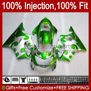 Injectie Mold Backings voor HONDA CBR600F4 CBR 600 F4 FS CC 600F4 99 00 Carrosserie 54NO.79 CBR600 F4 CBR600FS 1999 2000 600cc Green Silver 1999-2000 OEM BODIAANTE KIT 100% FIT