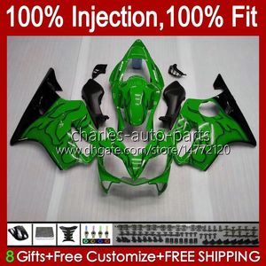 Injectie Mold Backings voor Honda Green Flames CBR 600 FS CC 600F4I CBR600 F4I 01 02 03 Carrosserie 46NO.73 CBR600F4I F4 I 600CC 2001 2002 2003 CBR600FS 01-03 OEM BOECTIONELE KIT