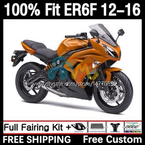 Spuitvormige schimmelbeurs voor Kawasaki Ninja 650R ER-6F ER6 F ER 6F ER6F 12 13 14 15 16 Bodywork 11dh.43 650-R 2012 2013 2014 2015 2015 650 R 2012-2016 OEM Body Dark Orange