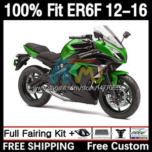 Spuitvormige schimmelbeurs voor Kawasaki Ninja 650R ER-6F ER6 F ER 6F ER6F 12 13 14 15 16 Bodywork 11dh.54 650-R 2012 2013 2014 2015 2015 650 R 2012-2016 OEM Body Green Black