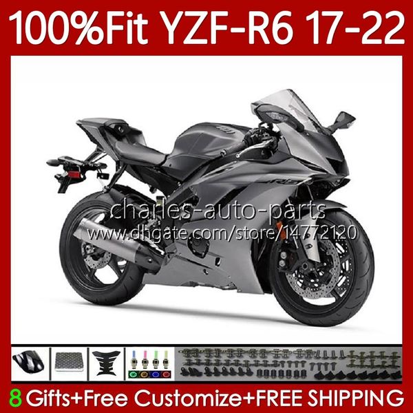 Carenados de molde de inyección para YAMAHA YZF-R6 YZF R6 R 6 600 CC YZFR6 17 18 19 20 21 22 Cuerpo 119No.98 YZF-600 2017 2018 2019 2020 2021 2022 YZF600 17-22 OEM Carrocería Gris brillante