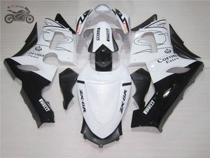 Kit de carénages chinois personnalisé gratuit pour Kawasaki Ninja ZX-6R 2005 2006 ZX6R ZX636 05 06 ensemble de carénages de rechange