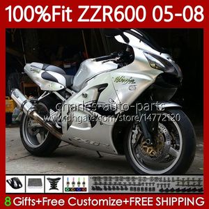 100% Fit OEM Corps pour KAWASAKI NINJA ZZR-600 600 CC 600CC 05-08 Carrosserie 134No.196 ZZR 600 ZZR600 05 06 07 08 2005 2006 2007 2008 Kit de carénage de moulage par injection requin argenté