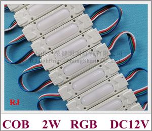 Module LED RGB d'injection COB module de lumière LED waterproof pour signe lettre RGB DC12V 2W IP65 78mm * 21mm * 7mm