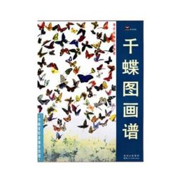 Inks 1pc papillon chinois couleur peinture de peinture de tatouage livre de référence Gongbi Brush Art
