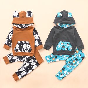 INS vêtements bébé mignon 2 pièces tenue enfant en bas âge à manches longues à capuche dessin animé chat ours imprimé pantalon ensemble bébé unisexe automne hiver vêtements ensembles M2940