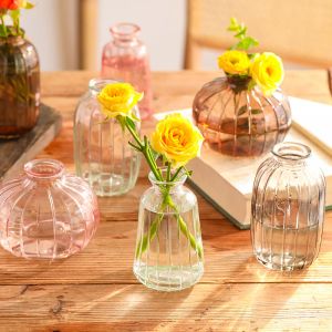 INS Mini Glass Vase for Plant Creative Hydroponics Vase Vase Vase Room Table Decor Retro Transparent Glass Vase Gift Mother's Fay Gift