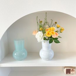 INS Simple Flower Vase Noordse bloemfles creatieve hydrocultuur kleurrijke plant bloem fles huisdecor Jarrones vaas decoratif