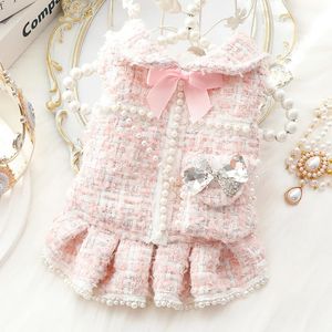 Ins winterhondenkleding kat prinses jurk rugzak roze luxe mode ontwerp hond verdikte rokhond kerstkleding 240422