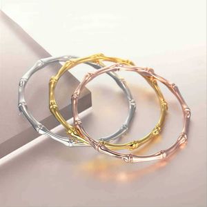 Inspirational Manchet Armband Bangle voor Vrouwen Rose Goud Zilver Kleur Bamboe Vorm Armbanden Dagelijkse Draaggeschenken Q0717