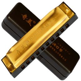 Instruments 10 trous Harmonica couleur laiton Gaita Blues Chine célèbre marque harpe Blues Instruments de musique bouche Ogan 10 trous Harmonica