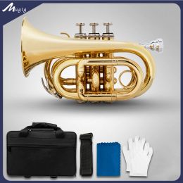 Instrumenten mugig mini pocket trompet bb plat messing wind instrument bb platte messing wind mondstuk paar handschoenen reinigingsdoek draagtas case