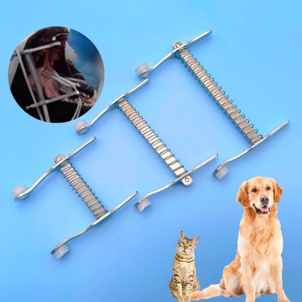 Instrumentos Mascota Gato Animal Perro Abridor de boca Retractor Dental Exámenes bucales Bolsa Espéculos Dilatador de mejillas bucales Cavidad de alambre Acero inoxidable