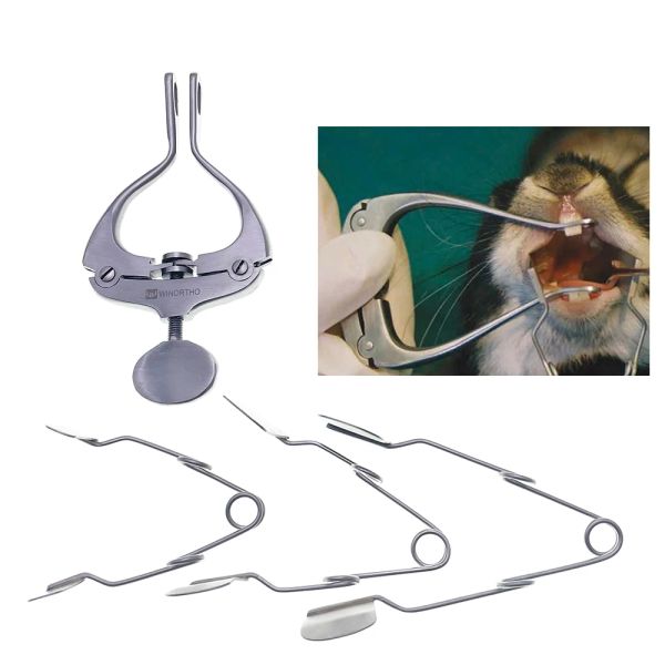 Instrumentos Profesional Rata Ratón Gato Conejo Cobaya Exámenes orales Abridor de boca Espéculos Vestíbulo de acero inoxidable Dilatador bucal de mejillas