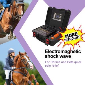 Intelect Puls EWST Fysiotherapie Equipments Elektromagnetische schokgolfmachine ED Behandeling Snelle pijnverlichting en ontspanningsmassage Schokgolf voor paarden