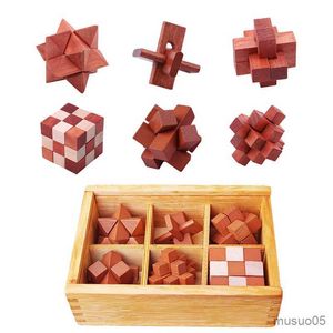 Intelligentie Toys 6 PCS/Set Creative Wooden Cube Kong Ming Luban Lock Kids Interlocking Educational Toys Children IQ Brain Teaser Gifts