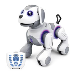 Intelligentiespeelgoed Educatief Afstandsbediening hondenspeelgoed Elektronisch huisdier slimme robot Hond Stem Afstandsbediening Muzieklied Kinderspeelgoed Kindcadeau 230928