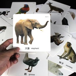 Juguetes de inteligencia Inglés/Chino Animales Palabras Niños Montessori Bebé Aprender Necesidades Diarias Tarjetas Flash Imagen Educativa Cognitiva para Niños 230919