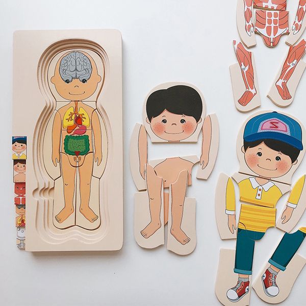 Juguetes de inteligencia Montessori Juguetes de madera Rompecabezas del cuerpo humano Órganos Rompecabezas educativo Niños Niñas Anatomía Juego Juego de mesa Partido Regalos 230710