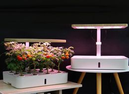 Culture intelligente sans sol aerogarden Pot de fleur planteur hydroponique pot de plante végétale d'intérieur pot de fleur pépinière remplir la lumière Y207333029