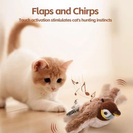 Jouets interactifs pour chats, gazouillis rechargeables, battements d'oiseaux volants avec herbe à chat pour chats d'intérieur, jouets en peluche activés au toucher, 240226
