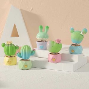 Interieurdecoraties Cactus Bloempot Succulente planten Natural Mineral Turtle Mini Fairy Garden Kiniature Oorspronkelijke accessoires Auto Decor R230228