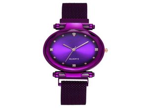 Internet Celebrity Sterren Sky Gradient Color Watches Women Fashion Magnet Mesh polshorloges Luxe Casual vrouwelijke Quartz Watch Relo9682265