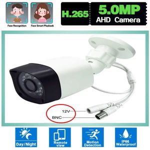 IP -camera's IP -draadcamera Monitoring Iineate Monitoring Beveiligingscamera Waterdicht 1080p Video Ahd Home Outdoor Security Monitoring Camera 240413