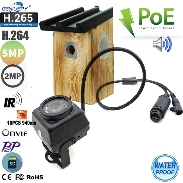 Cámaras IP Pequeñas al aire libre Mini IR IP POE Cámaras Visión nocturna IPC Gran angular Audio Video Cámara de seguridad Vigilancia P2P En Vif Bird Cage 230706