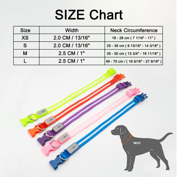 Collier de chien LED IPX7 APPLAPIER Collier de charge USB Collier pour chiens Puppies Anti-perd plomb Pet Products Accessoires pour chiens