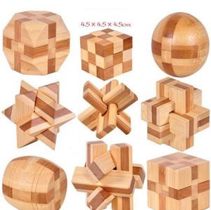 IQ Brain Teaser Kong Ming Lock 3D Houten Ingestreepte Burr Puzzels Game Toy voor Volwassenen Kinderen