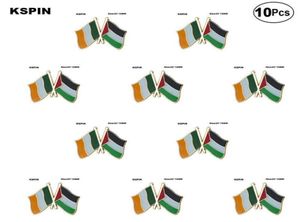 Pin de solapa de la Amistad de Irlanda y Palestina, insignia de bandera, broche, insignias, 10 Uds. Por lote4637187