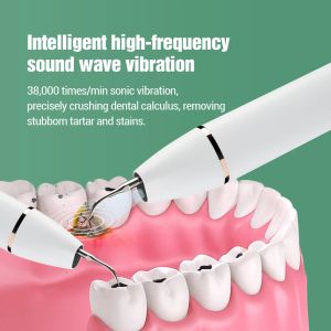 Irrigateurs ultrasonic Dental Cleaner Détagrations électriques Blantenant vibration à haute fréquence pour calcul des taches de plaque