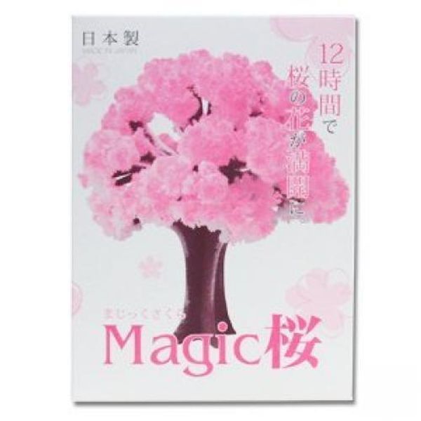 iWish 2017 Visuel 14x11cm Rose Big Grow Magique Papier Sakura Arbre Magique Croissance Arbres Japonais Kit Bureau Fleur De Cerisier Noël 100PCS