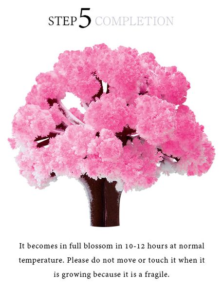 iWish Visual 2017 14x11 cm Rose Big Grow Papier Magique Sakura Arbre Magiquement Japonais Arbres en Croissance Kit Bureau Fleur de Cerisier Noël 50 PCS