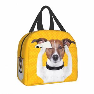 Jack Russell Terrier Dog Funny Meme Portable Lunch Box For Women Thermal Cooler Food geïsoleerde lunchbag School kinderen Student i3HB#