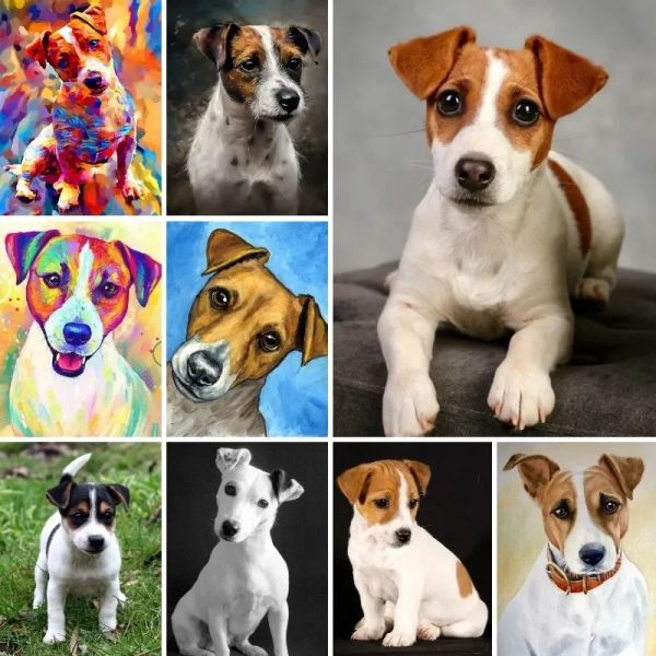 Jack Russell Terrier Dogs 5d Diamond Painting Full Square Round Drill Drif DIY Diamond Brodemery Sale pour Pups Pet Amant Gift