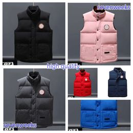 Chaquetas Chaleco de diseñador Chaqueta para hombre y mujer Auténtico lujo Abajo Chaleco marca Expedición Parejas Chalecos parka