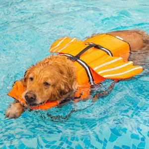 Chaquetas Chaleco salvavidas para perros Diseño de alas Chaleco salvavidas para mascotas Perros Flotación Salvavidas Traje de baño con asa para nadar Piscina Playa Paseos en bote