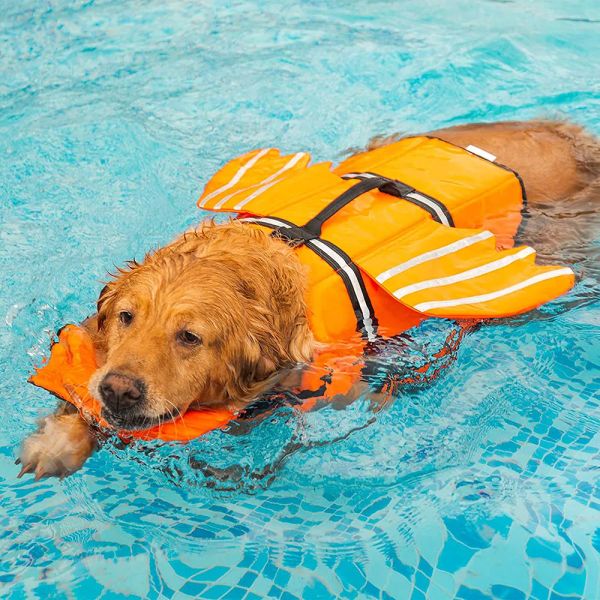 Chaquetas Chaleco salvavidas para perros Diseño de alas Chaleco salvavidas para mascotas Perros Flotación Salvavidas Traje de baño con asa para nadar Piscina Playa Paseos en bote