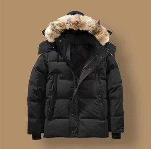 Vestes Hommes Designer Véritable Fourrure De Coyote En Plein Air Wyndham Coupe-Vent Jassen Vêtements D'extérieur À Capuchon Fourrure Manteau Doudoune Manteau Hiver Parka Doudoune