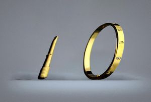 Jade Bangle armband dames heren titanium staal roestvrij staal goud zilveren schroevendraaier armbanden paar cadeau geheel met 2271603