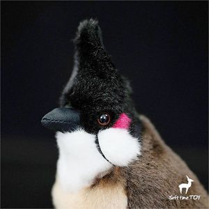 Jambul peluche jouet RedWhiskered Bulbul peluche mésange jouets réalistes oiseaux peluches Simulation poupée pour enfants 240321