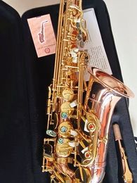Japon Yanagisa haute qualité nouveau A-W01 phosphore cuivre Alto Saxophone professionnel instrument de musique en laiton E Sax série avec embout anches étui de cou